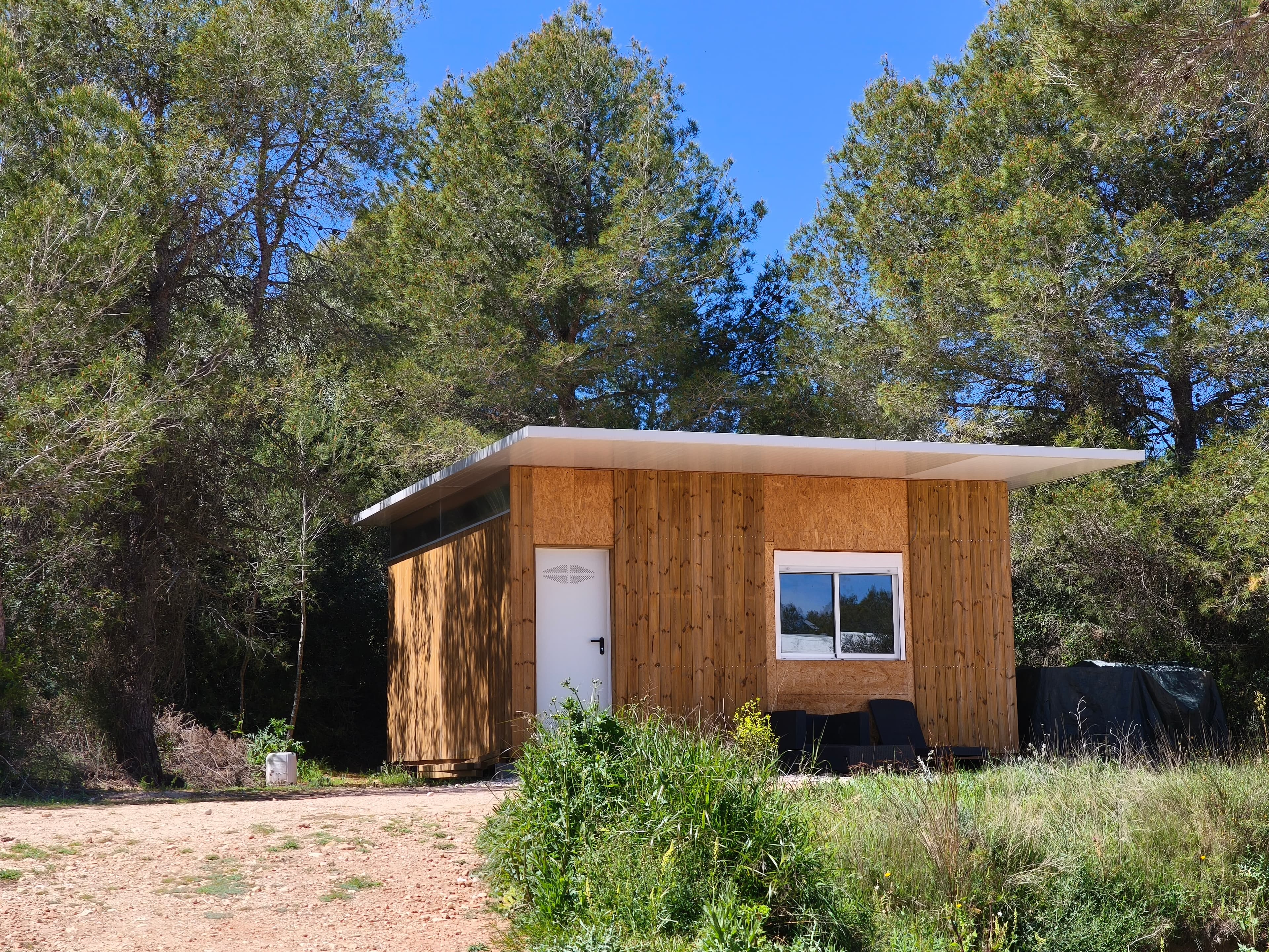 Funny Wood Chop Shop